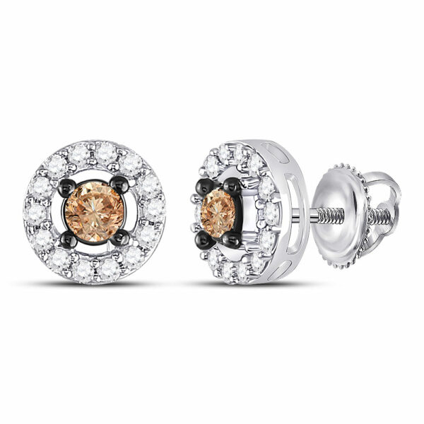 10k White Gold Womens Brown Round Diamond Stud Earrings 3/4 Cttw