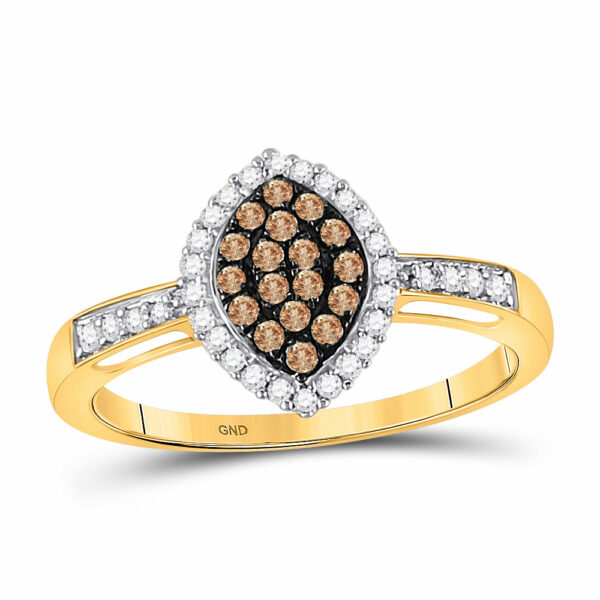 10kt Yellow Gold Womens Round Brown Diamond Oval Frame Cluster Ring 1/3 Cttw