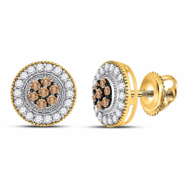 10kt Yellow Gold Womens Round Brown Diamond Cluster Earrings 5/8 Cttw